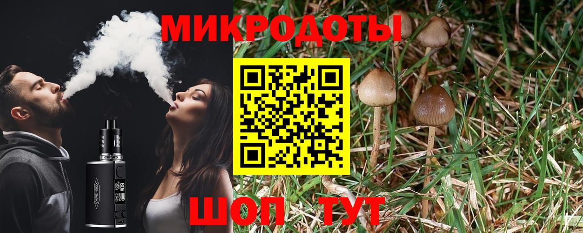 Галлюциногенные грибы мицелий Брянск