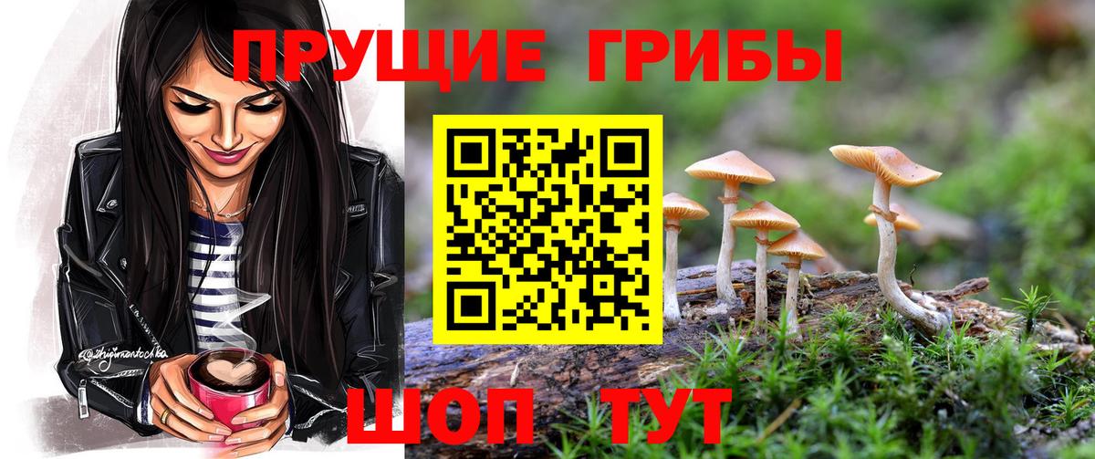 Галлюциногенные грибы мухоморы  Вход с VPN  что такое   Брянск  Галлюциногенные грибы мухоморы 